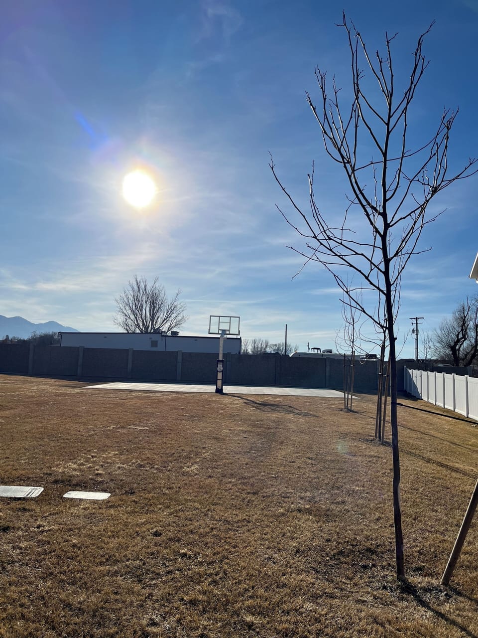 Basketball court