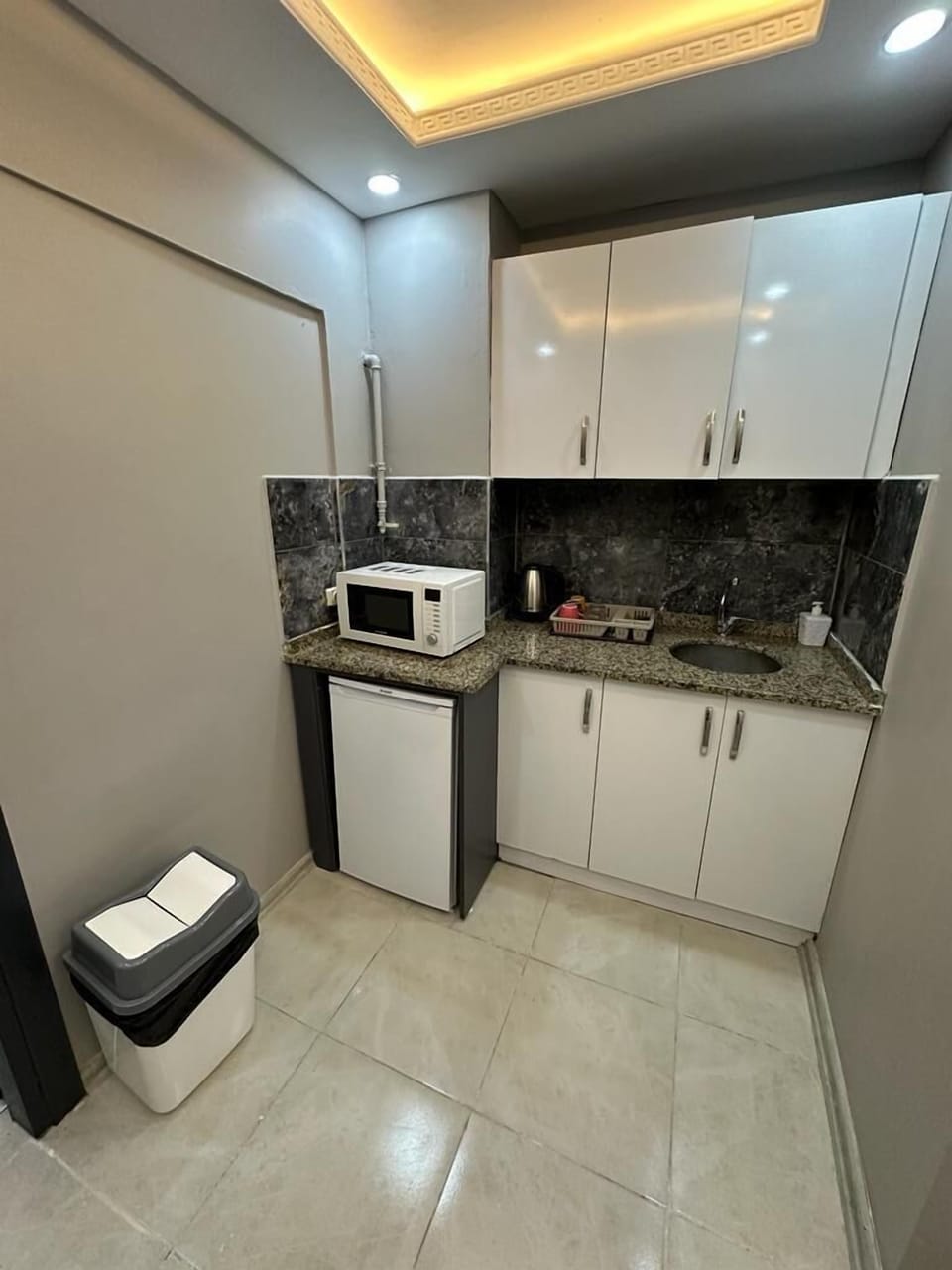 Luxury Apartment | Private kitchenette | Mini-fridge, microwave