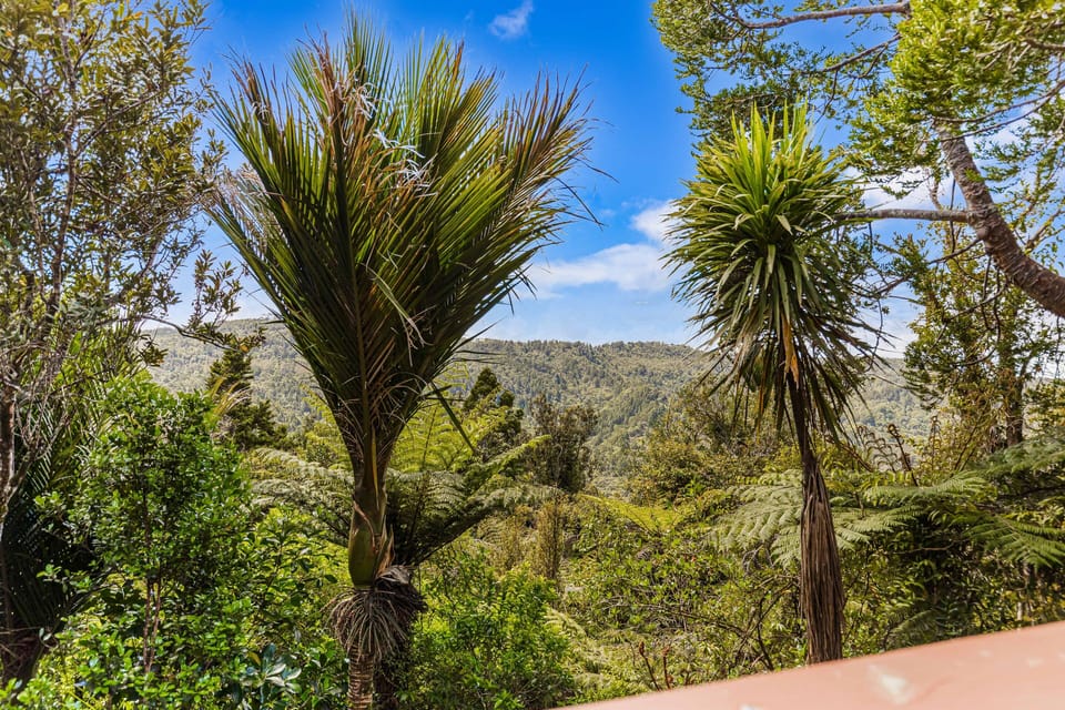 View from Deck