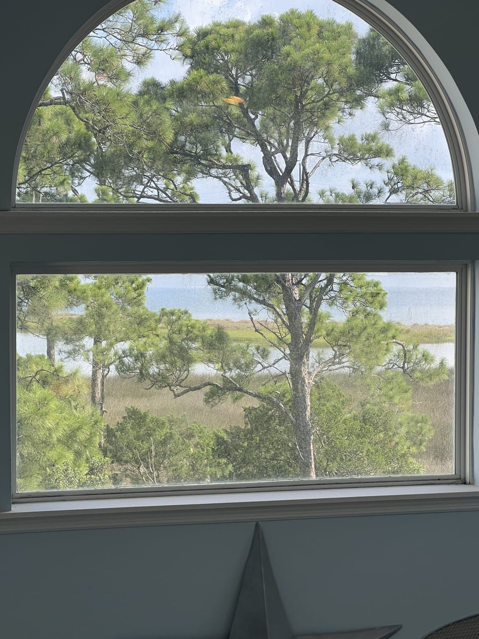 View from the living room