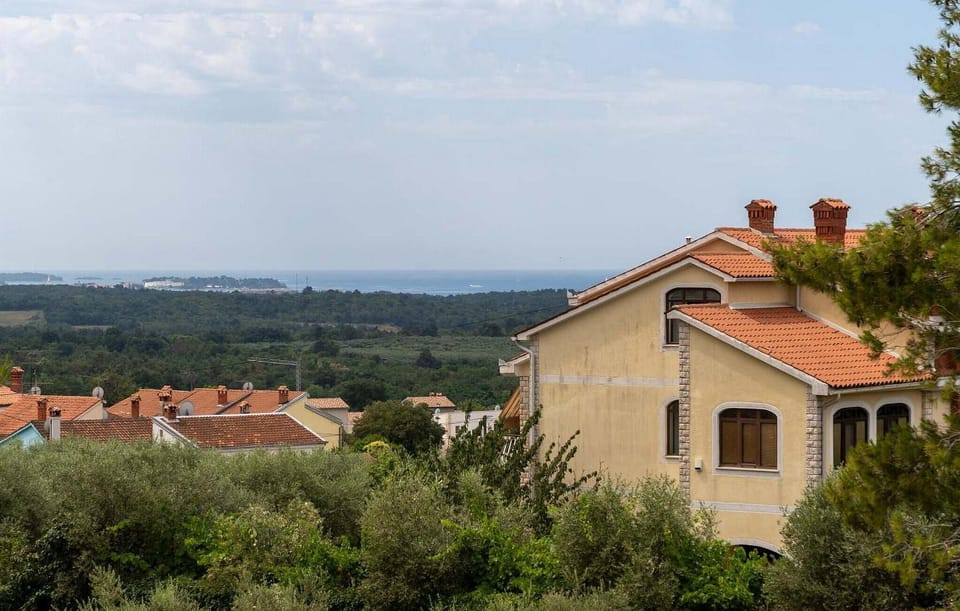 view-from-room