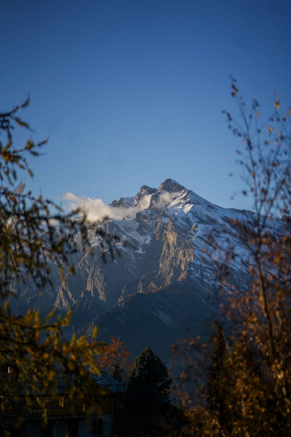 View