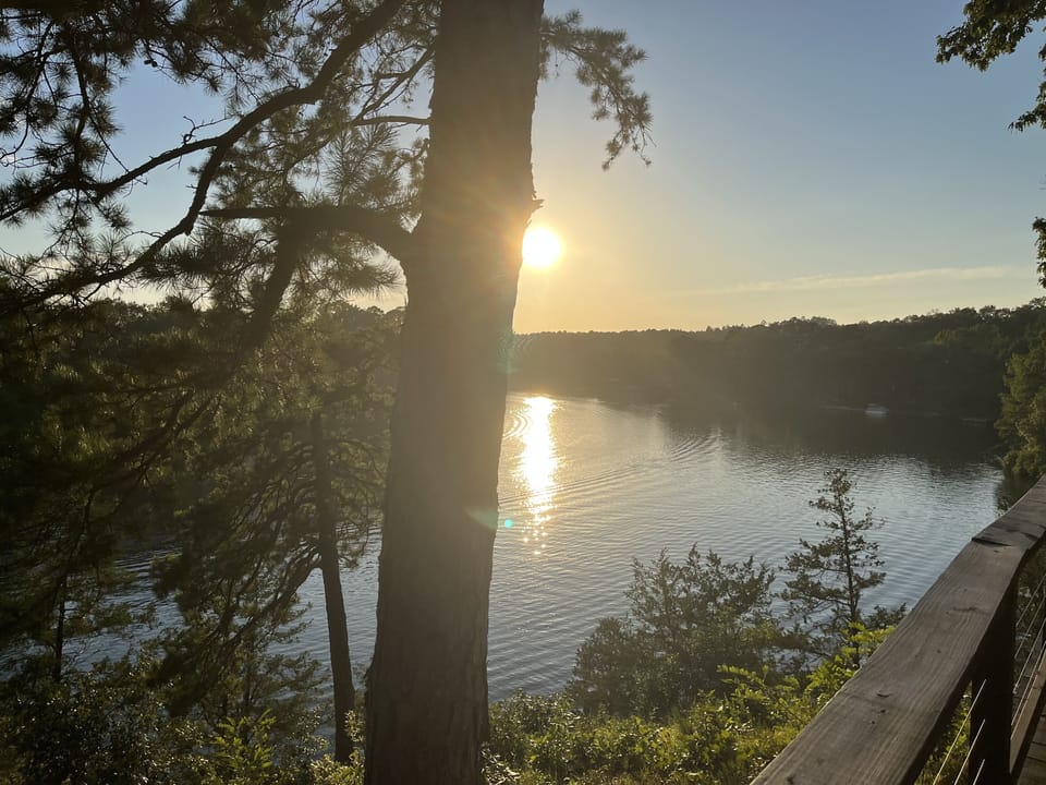 View of Lake Hamilton