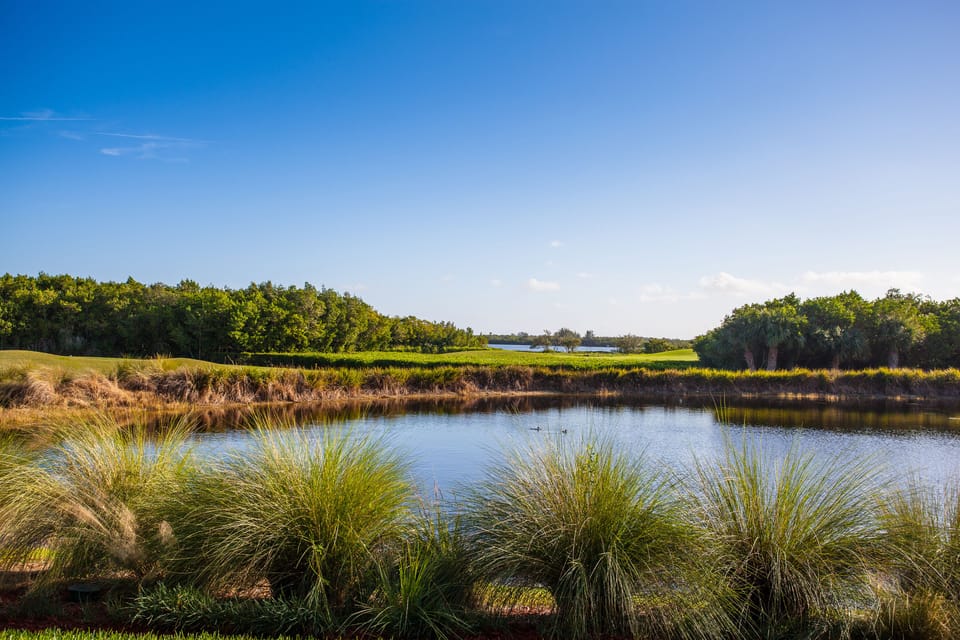 Nature Walk / Golf Course