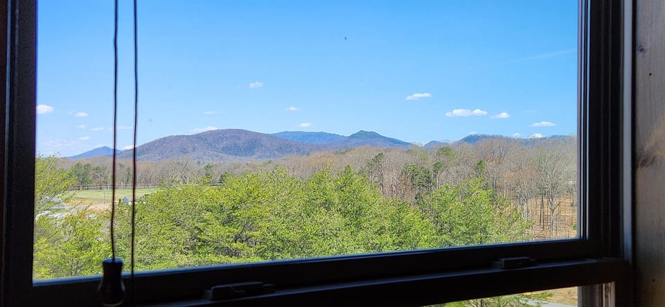 Views of Leconte Mountain from the windows