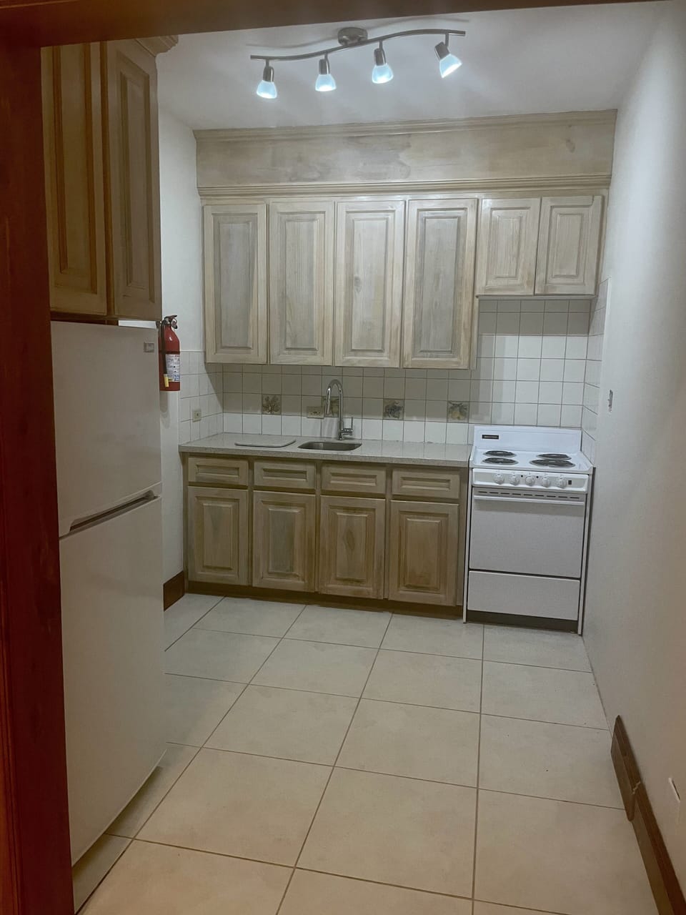 Kitchen Area with Fridge, Stove etc.