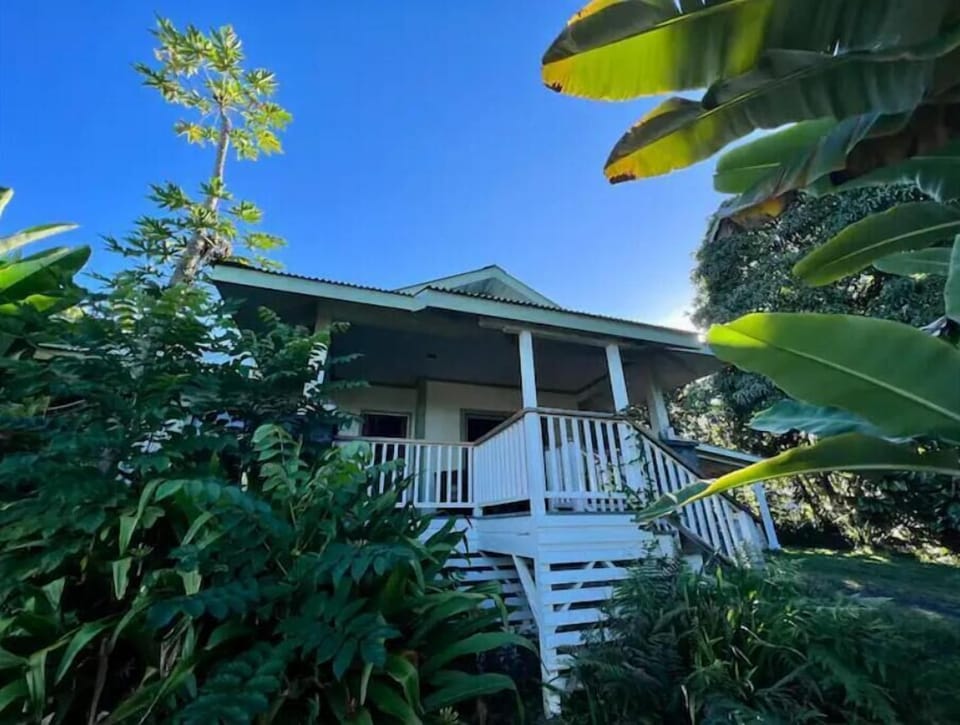A modern plantation home in a secluded corner of our 5 acre organic farm.