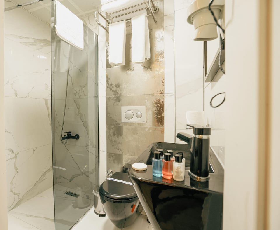 Standard Double Room, 1 Double Bed | Bathroom | Shower, rainfall showerhead, eco-friendly toiletries, hair dryer