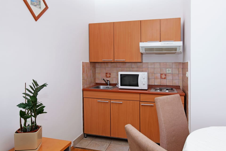One-Bedroom Apartment Balcony Sea Vew | Private kitchen