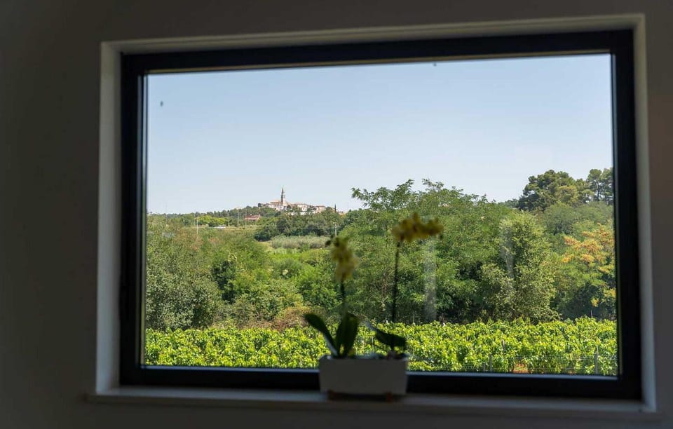 view-from-room