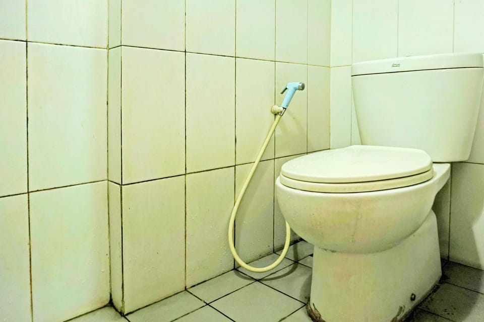 Deluxe Double Room | Bathroom | Shower, towels, soap