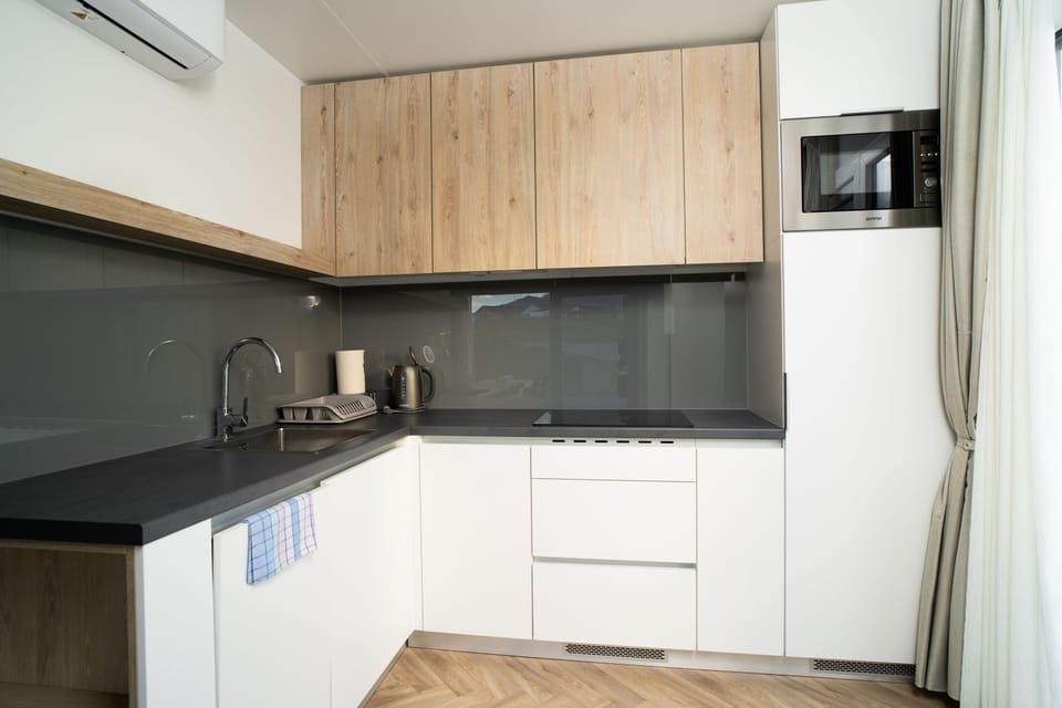 Family Apartment | Private kitchen | Full-size fridge, microwave, stovetop, dishwasher