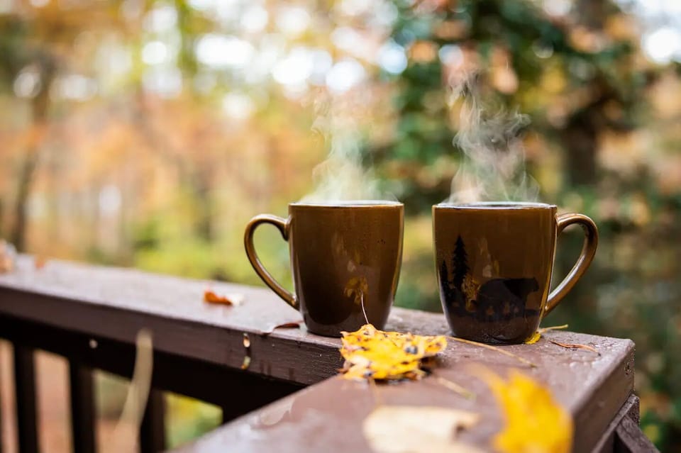 Enjoy coffee in bear mugs!