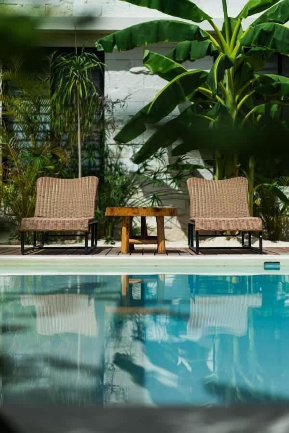 Main common pool