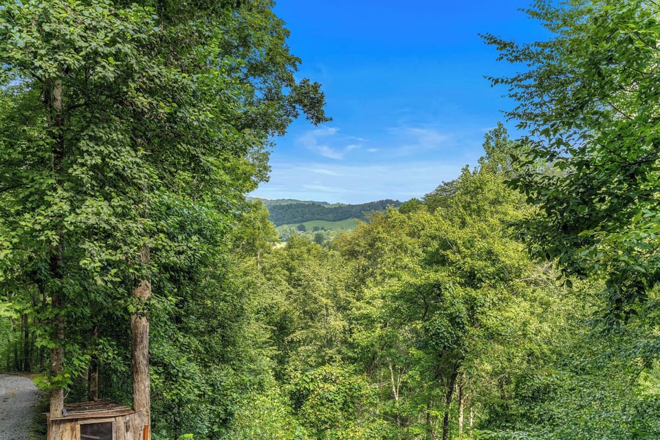 View from Moonshiner's Ridge cabin