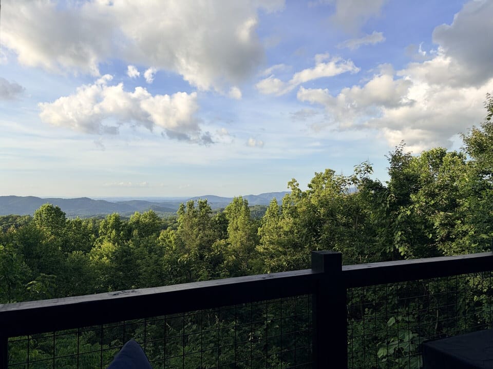 tree tops 2