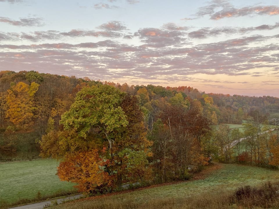 Incredible beauty - view from deck