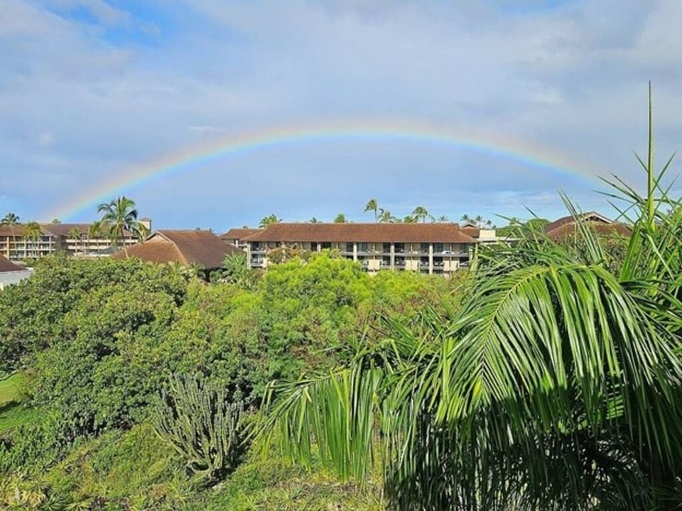 One of the many rainbows you see on Kauai