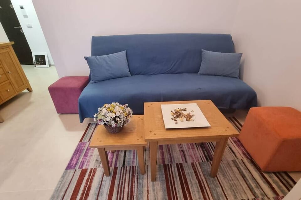 Living room sofa bed 