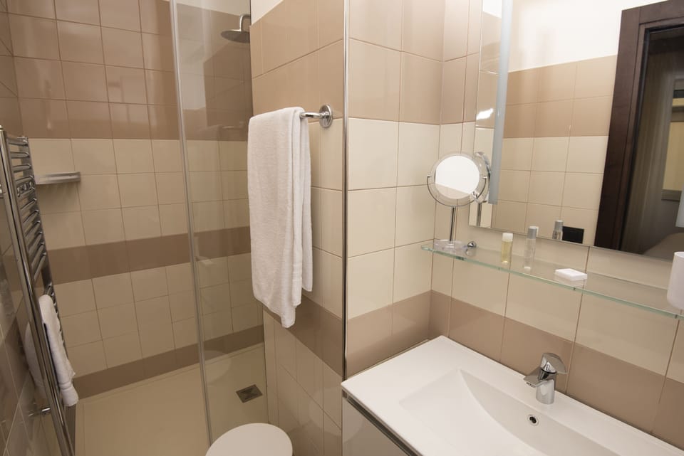 Comfort Double Room Single Use | Bathroom | Shower, hydromassage showerhead, free toiletries, hair dryer