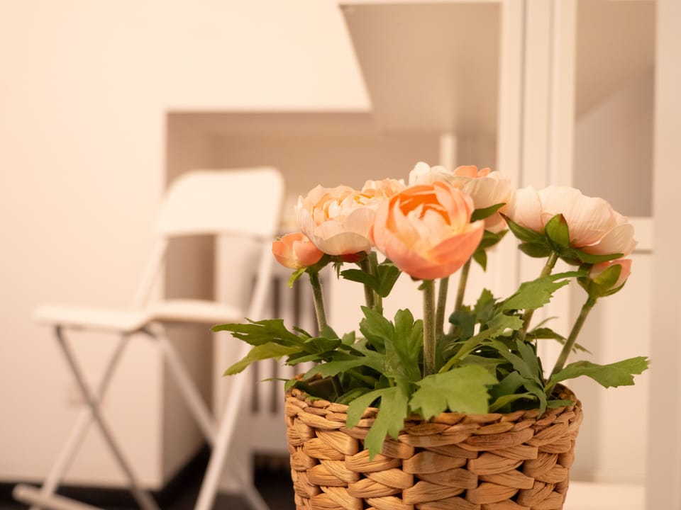 Room | WiFi (free)