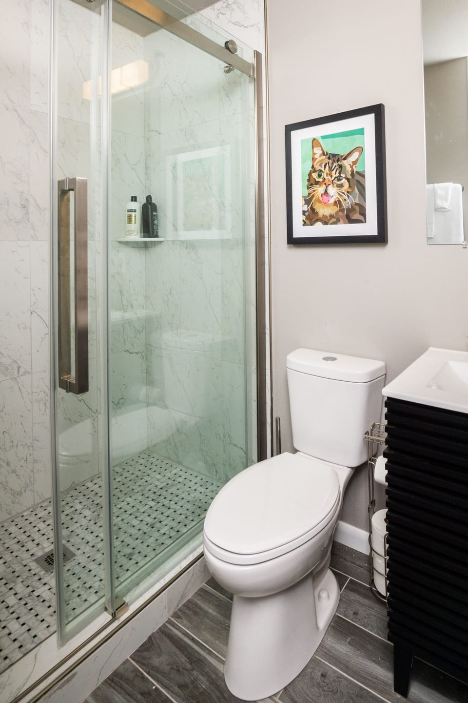 Downstairs bathroom with shower.  Shampoo, conditioner, and body wash available.
