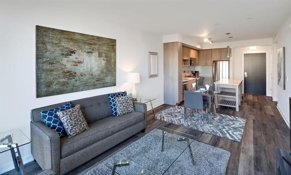 South Arlington Arlington 1 Bedroom Living Room