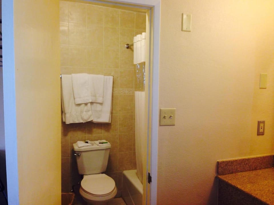 Combined shower/tub, free toiletries, hair dryer, towels