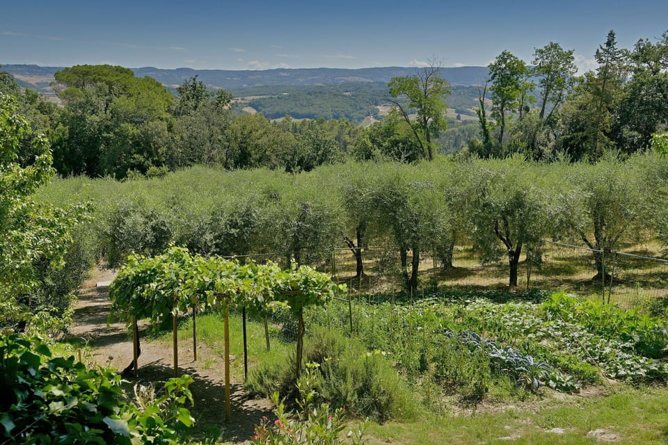 Garden, Scenic View