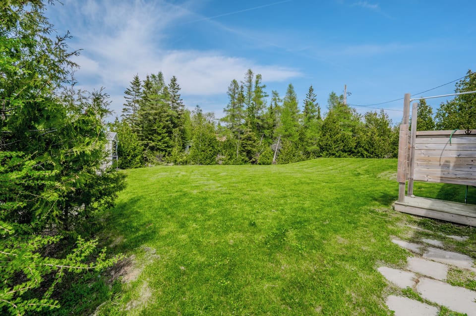The expansive backyard is surrounded by lush greenery, providing a private and peaceful outdoor space for relaxation and play.