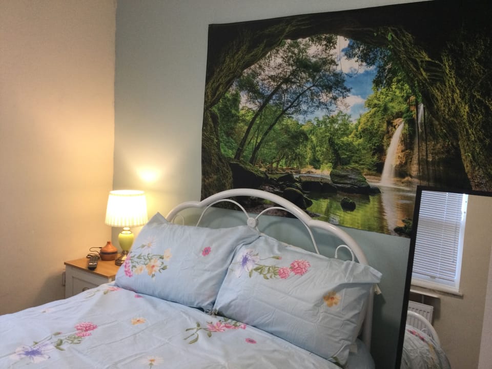 Deluxe Double Room Single Use | Pillowtop beds, soundproofing, iron/ironing board, free WiFi