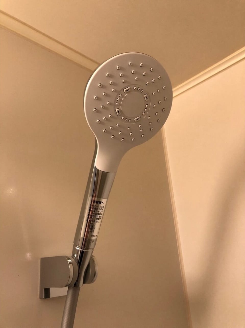 Hand-held showerhead