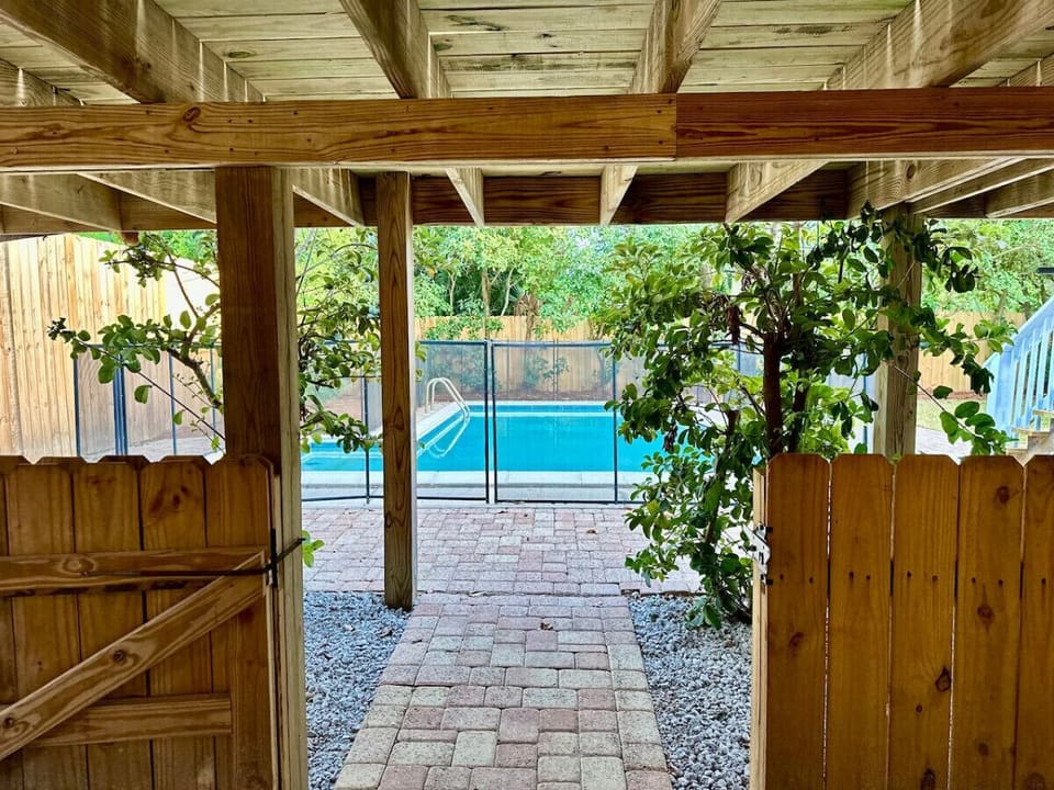 Enjoy the summer season with a stunning view of our pool surrounded by swaying palm trees.