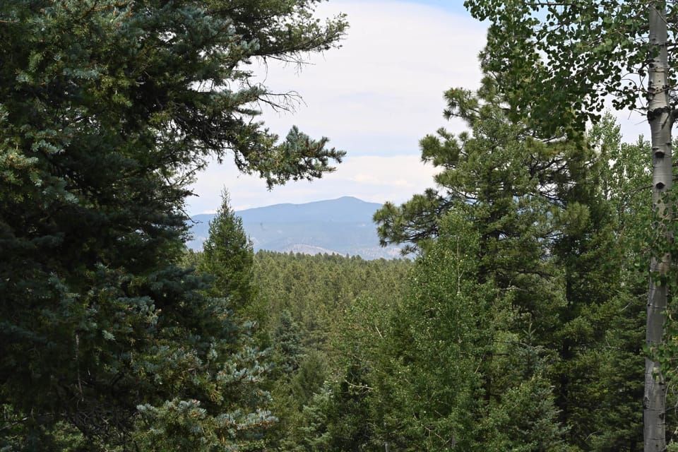 Views from the Deck
