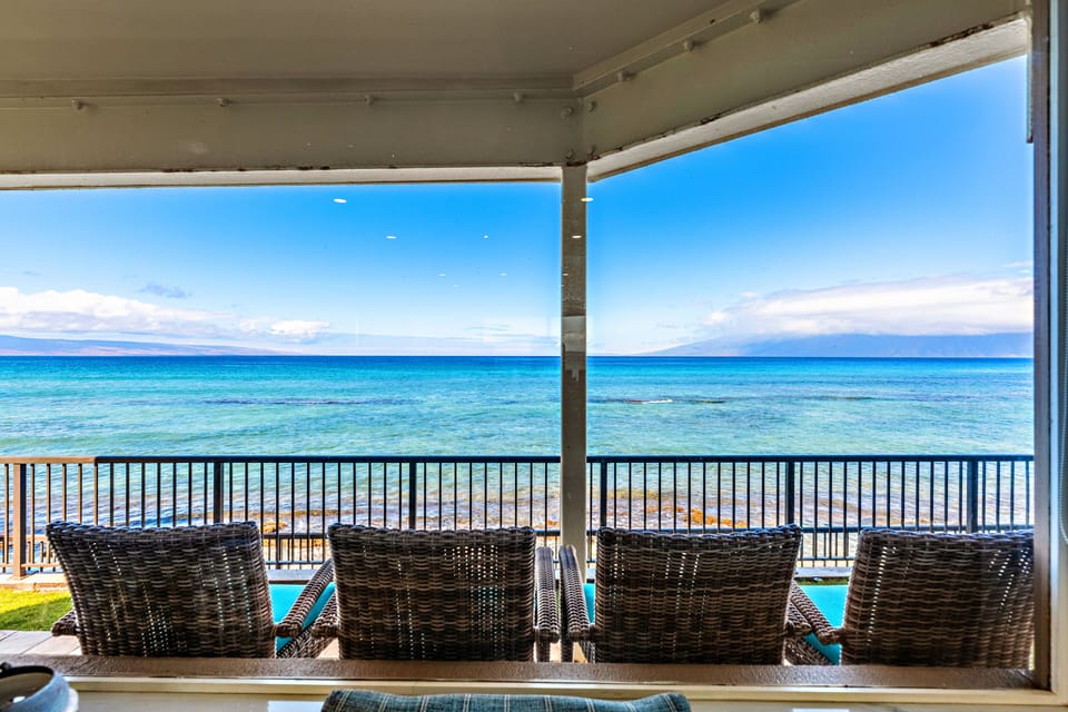 Views from the living room window