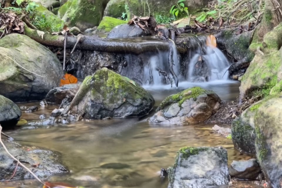 Natural waterfalls and creeks are all over the property during rainy season