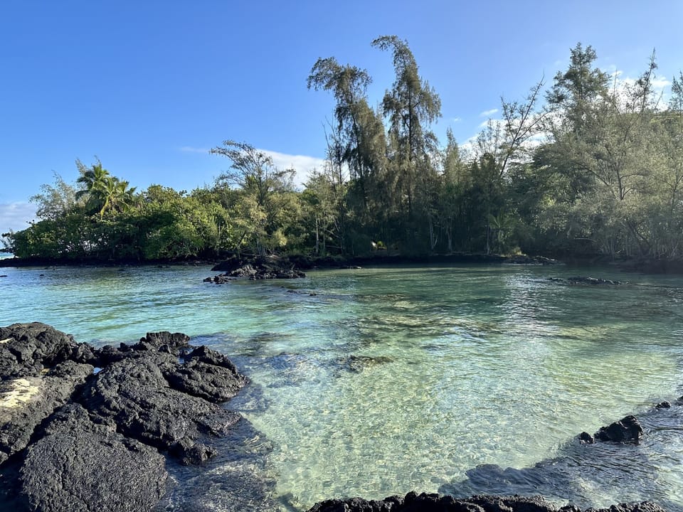 Carlsmith beach park steps away
Mauna Loa Shores #201