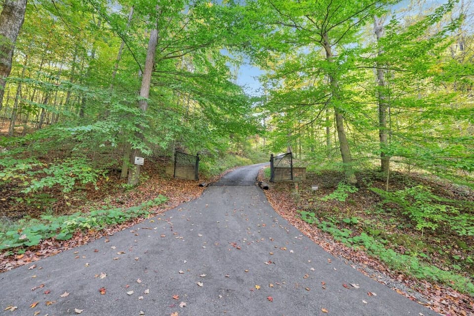 View of the gate and hill up to our lodge. 