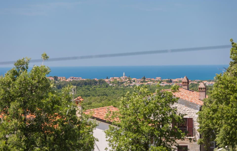 view-from-room