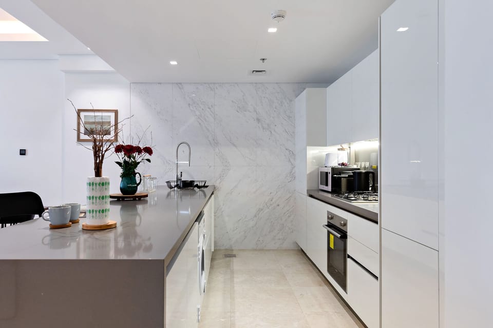 Premium Apartment, 1 Bedroom, Balcony, City View | Private kitchen | Full-size fridge, microwave, oven, stovetop