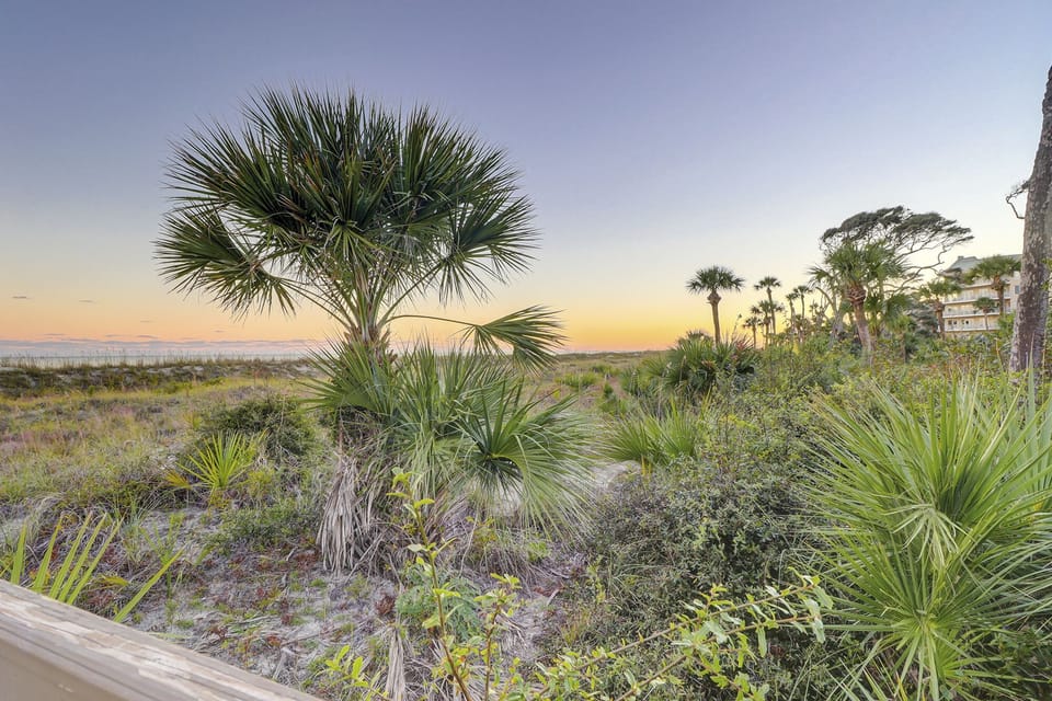 Palmetto Dunes Beach