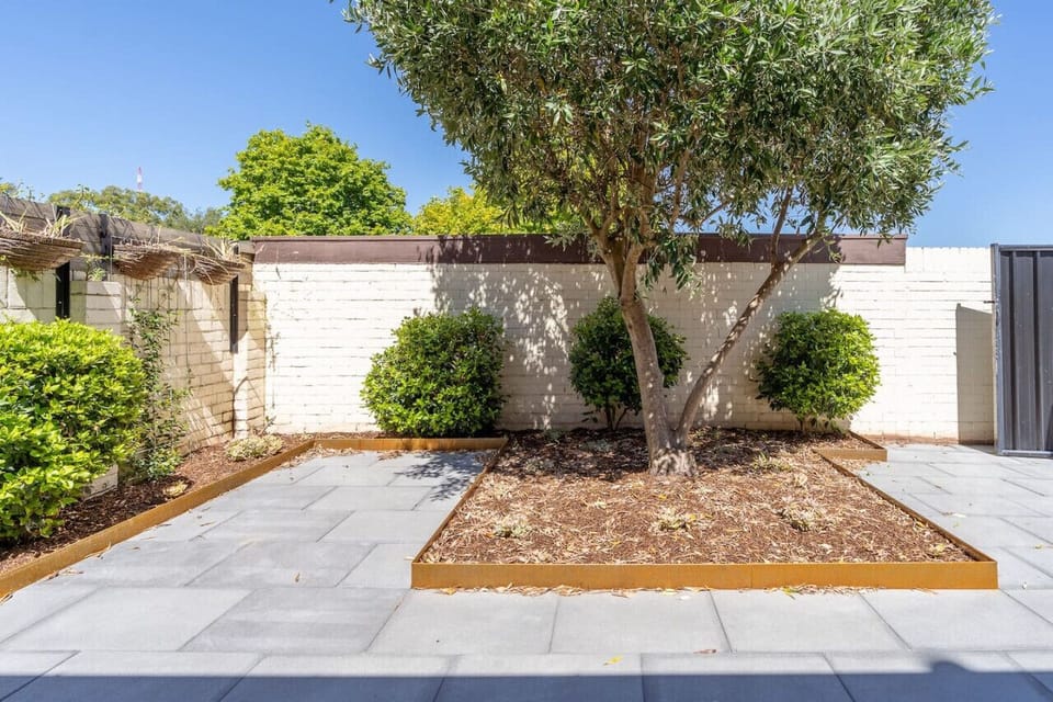 Large, private front yard with plenty of space.