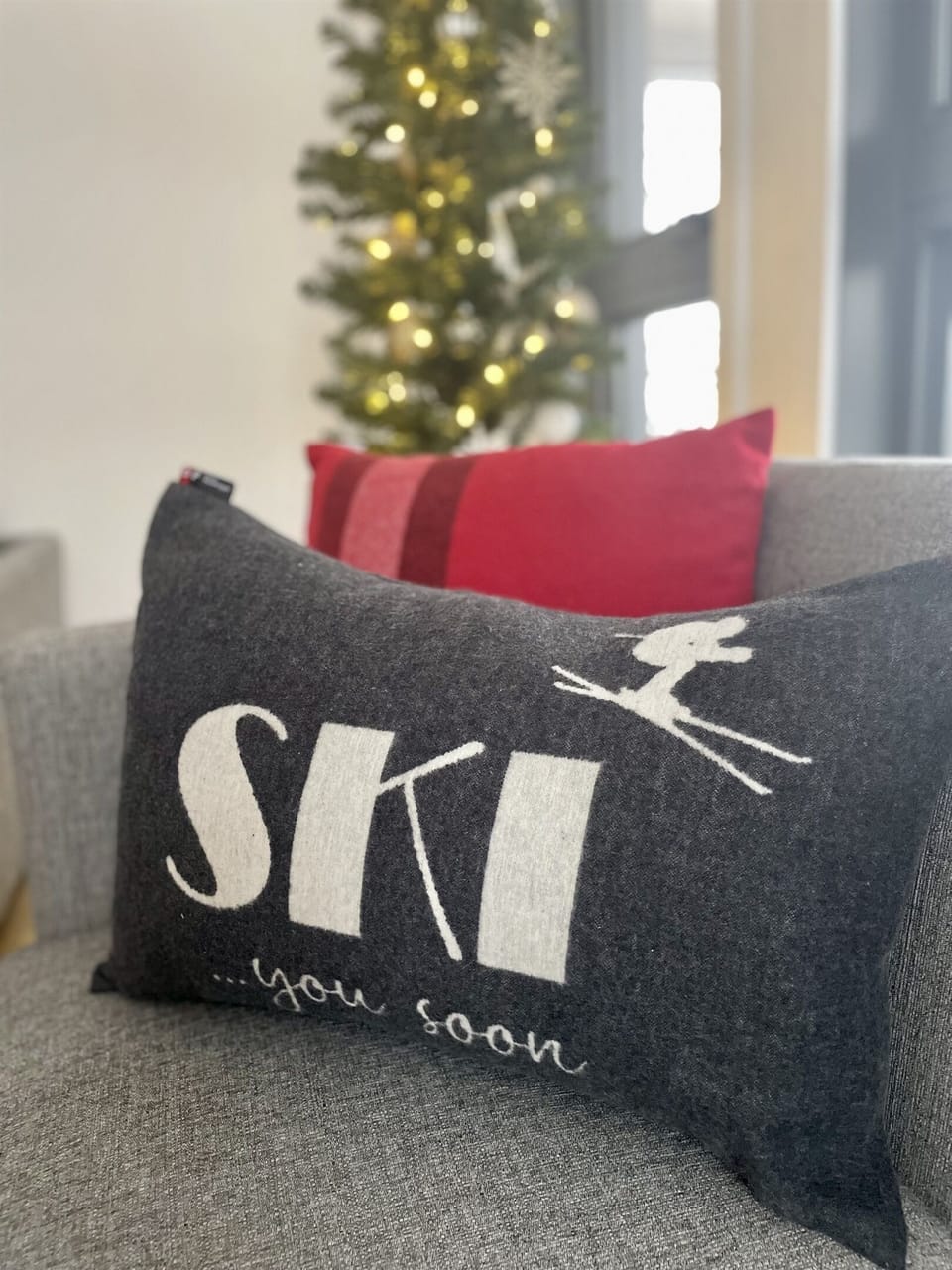 Living room couch