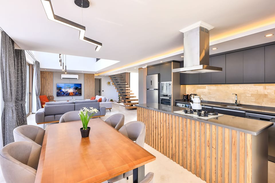 State of the art contemporary kitchen