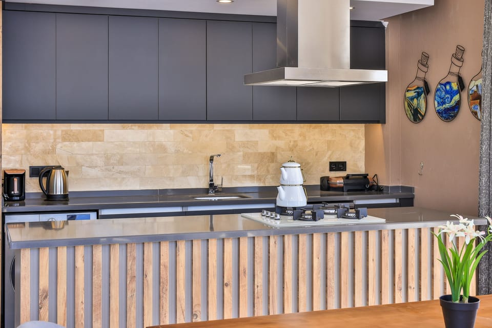 State of the art contemporary kitchen