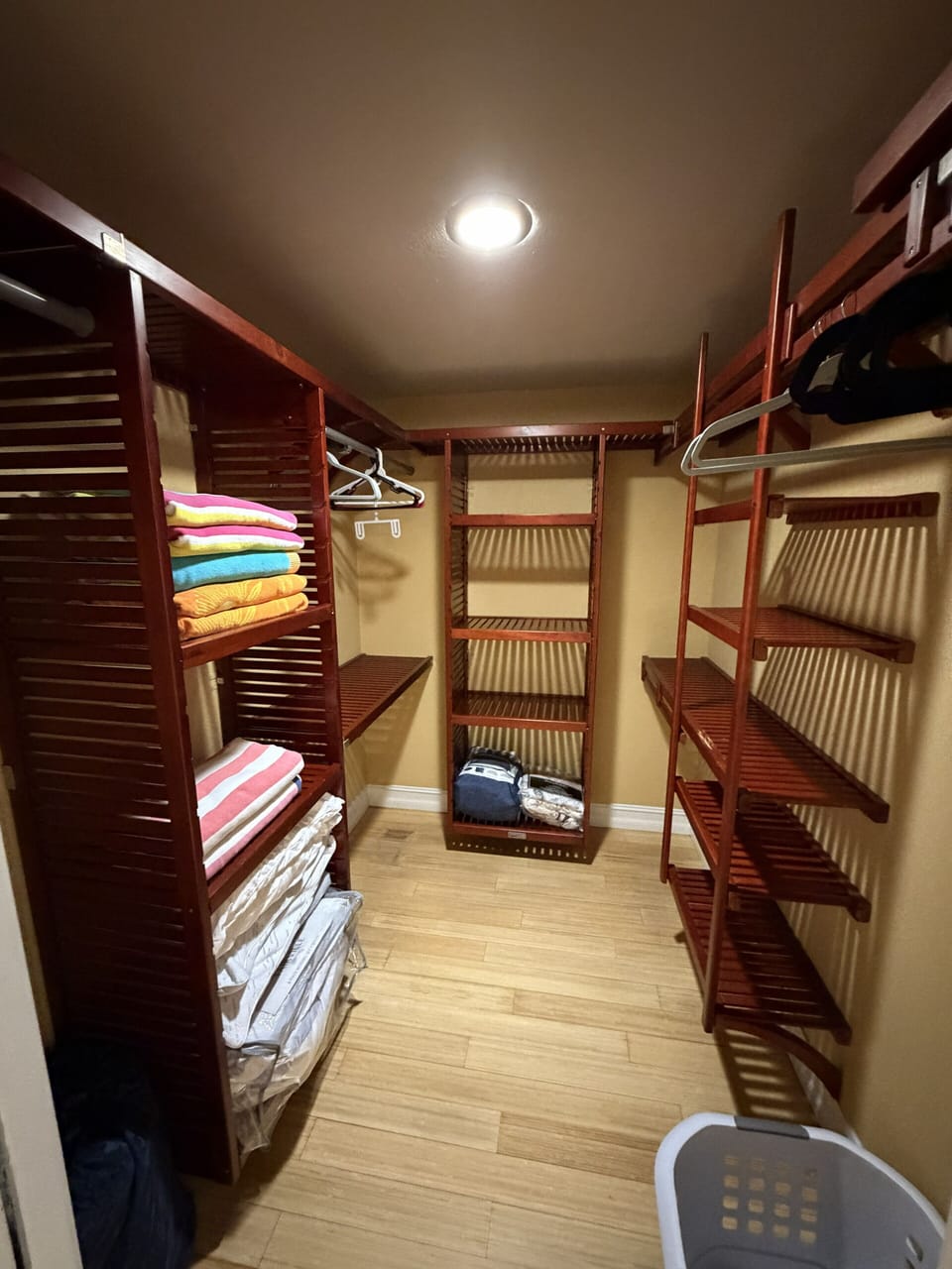 Master walk-in closet