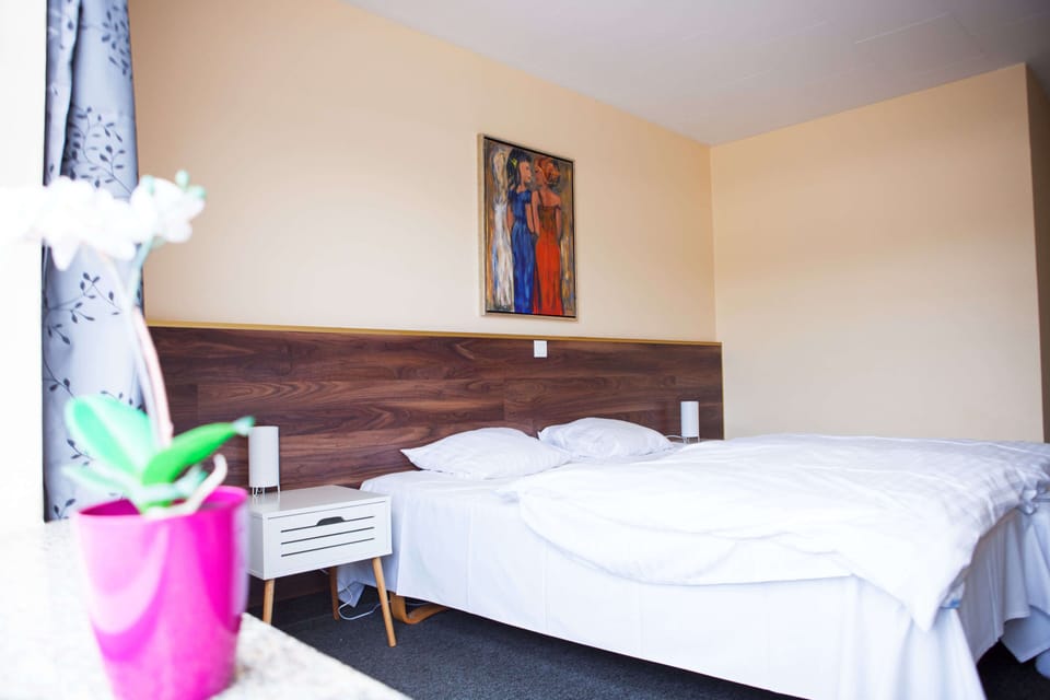 Basic Room | 1 bedroom, free WiFi