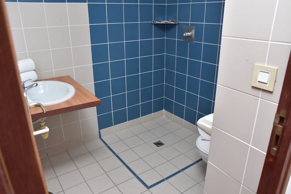 Room | Bathroom | Free toiletries, hair dryer