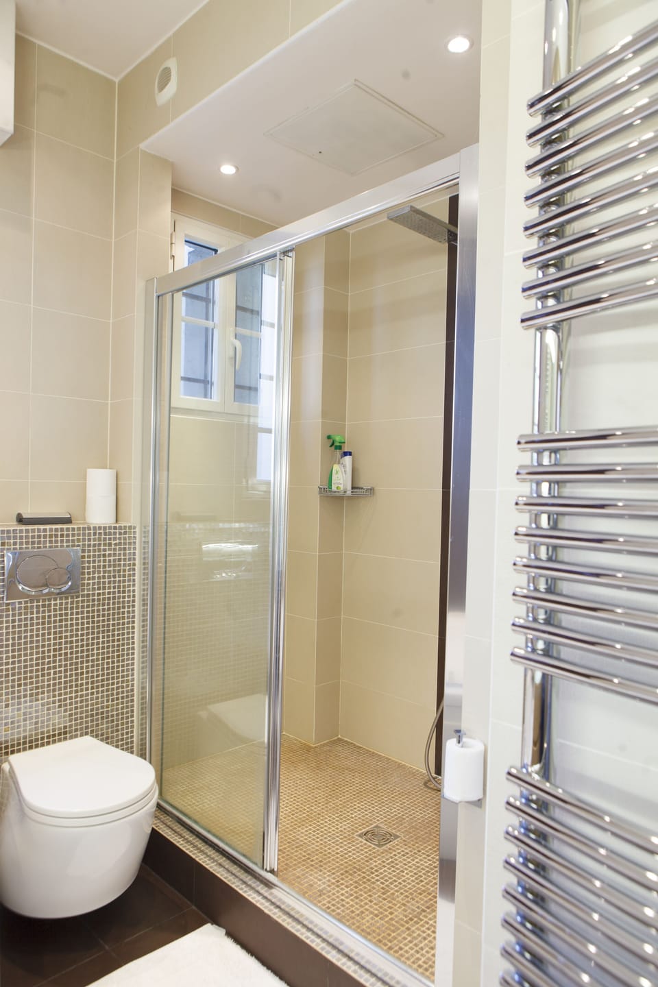 Deluxe Suite | Bathroom | Separate tub and shower, free toiletries, hair dryer, towels