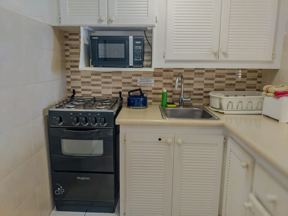 Basic Apartment | Blackout drapes, iron/ironing board, WiFi (free)